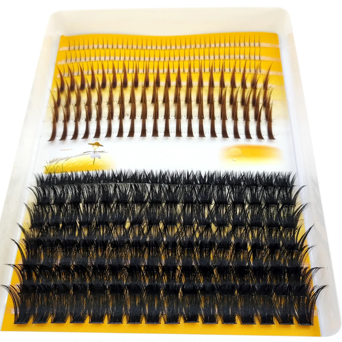 Eyelash Extension Doll Eye - AMSDCN 60D-120D wimpercluster 3D puntige dikke