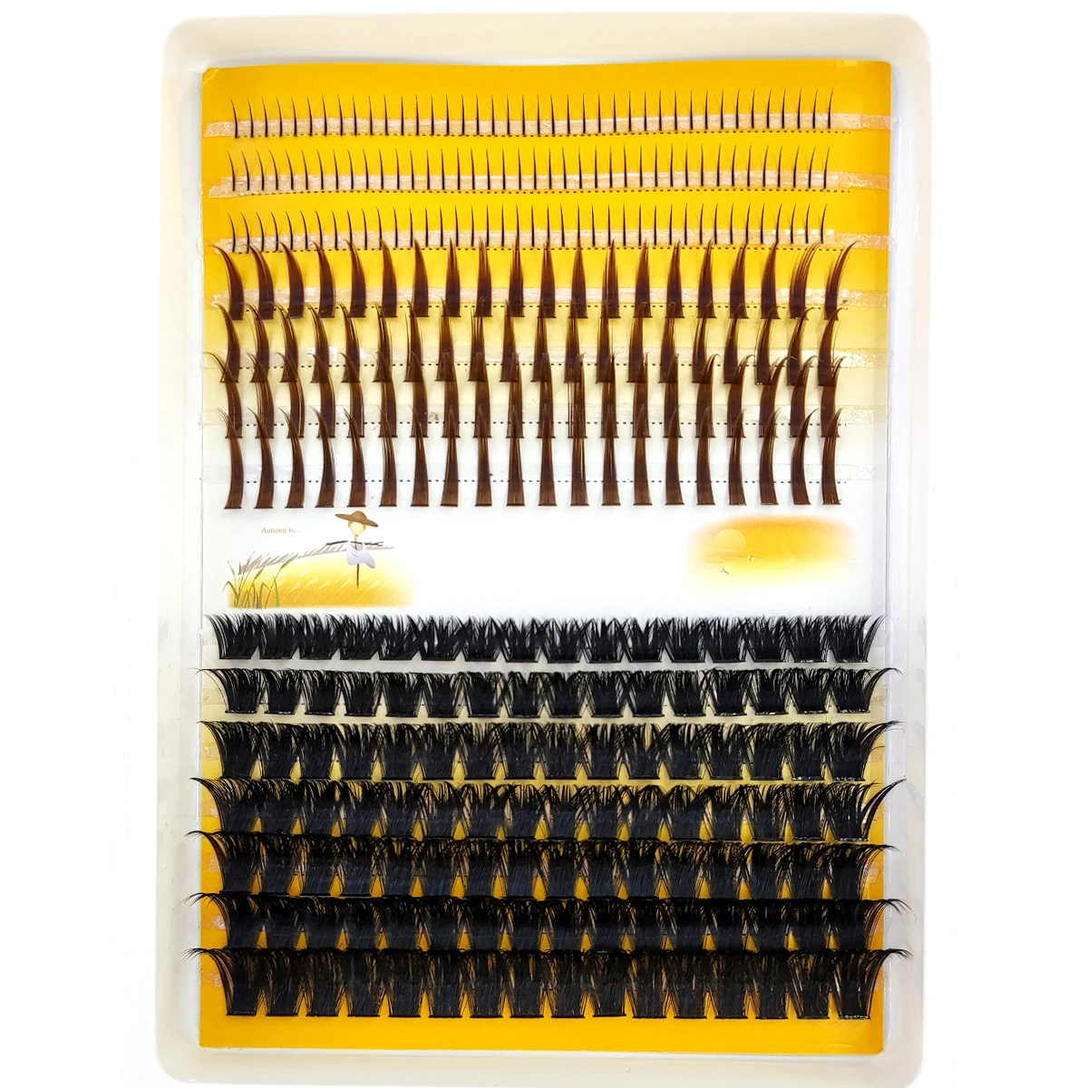 AMSDCN 60D-120D wimpercluster  - Eyelash Extension Doll Eye recensie en prijs
