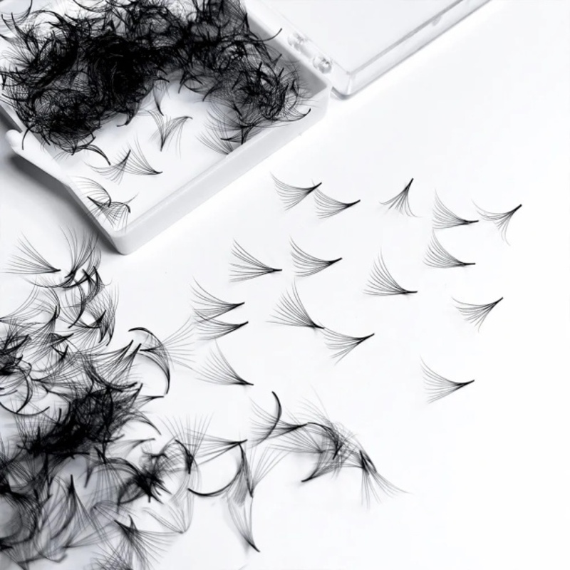500 Fans Handgemaakte Losse Pr - Eyelash Extension Medium recensie en prijs